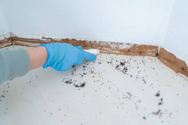 Best Commercial Pest Control  in Fultonde, AL